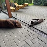 Ferien-landleben