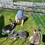 Ferien-landleben * Lobnitz (Saxony)