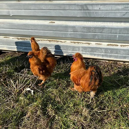 Ferien-landleben Lobnitz (Saxony)